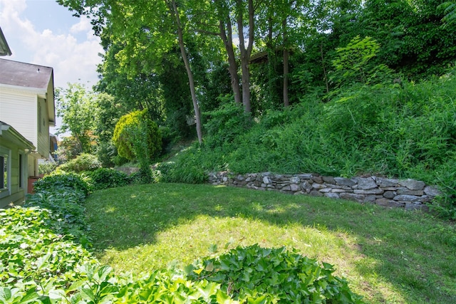 238 Read Ave, Tuckahoe, NY 10707 - view of green lawn
