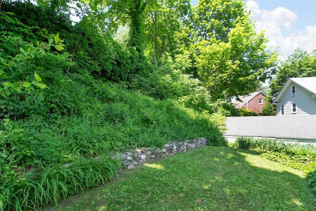 238 Read Ave, Tuckahoe, NY 10707 - view of green lawn
