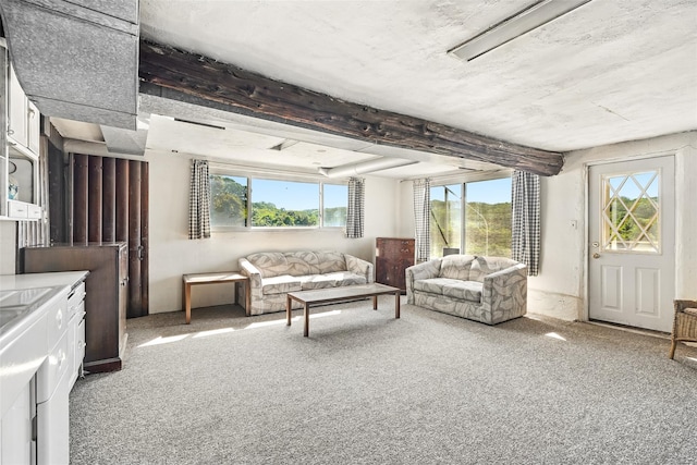 1 Battery Pl, Croton-On-Hudson, NY 10520 - view of carpeted living room