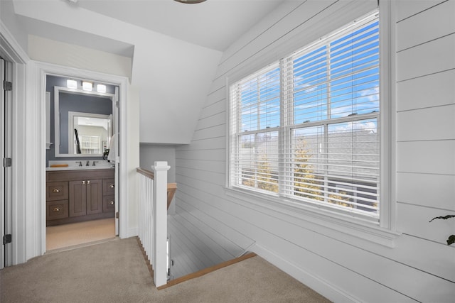 6 Livingston St, Red Hook, NY 12571 - corridor featuring an upstairs landing, carpet flooring, and a sink