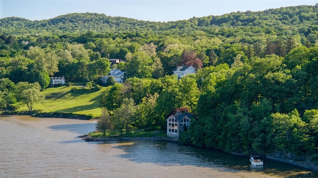70 Floyd Ackert Rd, West Park, NY 12429 - drone / aerial view of a forest and a nearby body of water