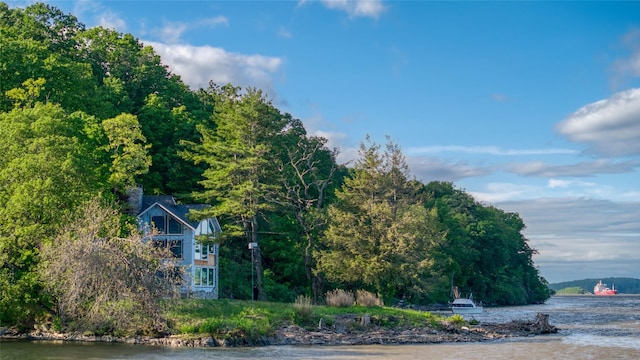 70 Floyd Ackert Rd, West Park, NY 12429 - water view with a forest