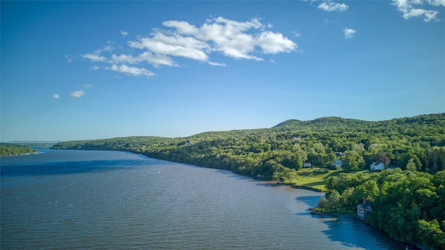 70 Floyd Ackert Rd, West Park, NY 12429 - water view featuring a heavily wooded area