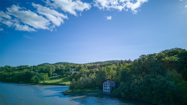 70 Floyd Ackert Rd, West Park, NY 12429 - water view featuring a heavily wooded area