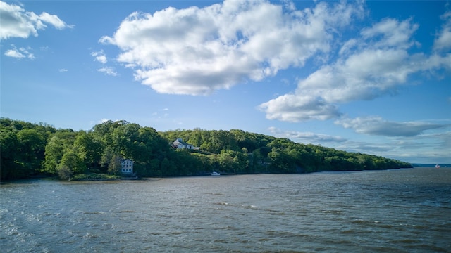 70 Floyd Ackert Rd, West Park, NY 12429 - water view featuring a forest