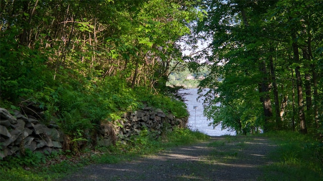 70 Floyd Ackert Rd, West Park, NY 12429 - view of street