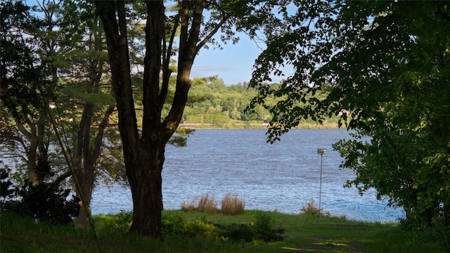 70 Floyd Ackert Rd, West Park, NY 12429 - water view featuring a forest