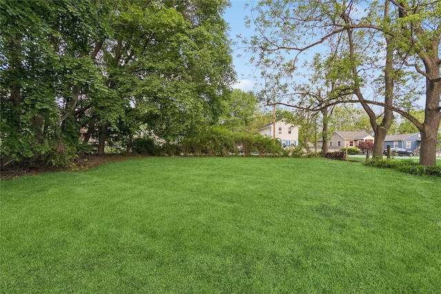 35 Fallkill Ave, Poughkeepsie, NY 12601 - view of grassy yard featuring a residential view