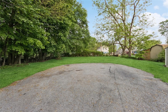 35 Fallkill Ave, Poughkeepsie, NY 12601 - view of green lawn with an outbuilding