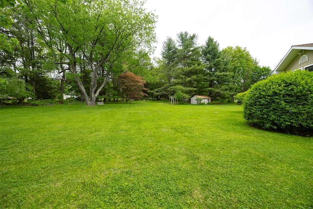68 Forest Dr, Poughquag, NY 12570 - view of green lawn