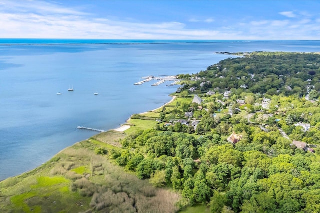 198 S Country Rd, Bellport, NY 11713 - photo 7