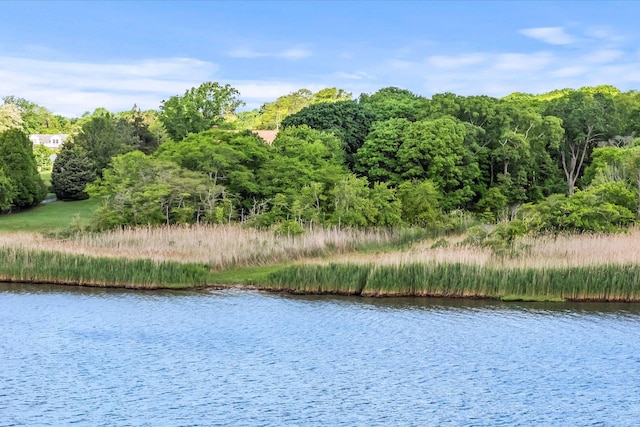 198 S Country Rd, Bellport, NY 11713 - photo 15
