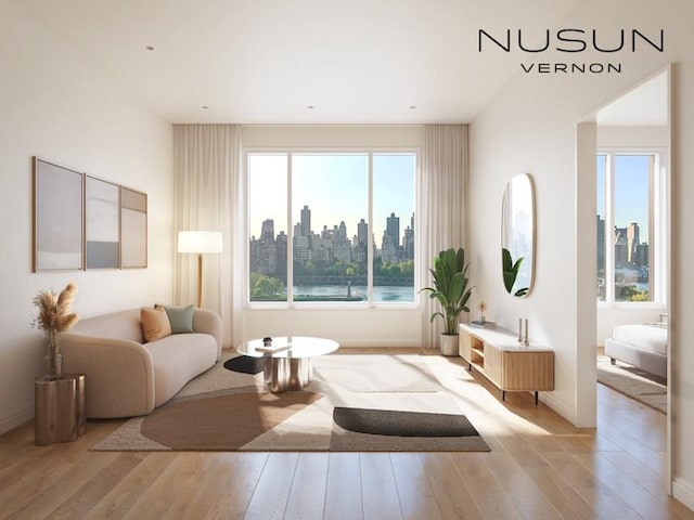30-55 Vernon Blvd Unit 2J, Long Island City, NY 11102 - living area with a skyline view, light wood-style floors, plenty of natural light, and baseboards