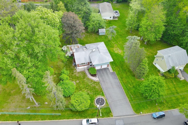 bird's eye view