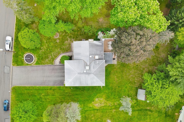 drone / aerial view