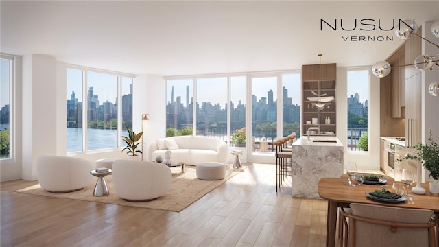 30-55 Vernon Blvd Unit 3J, Long Island City, NY 11102 - living area with a skyline view and light wood-style flooring