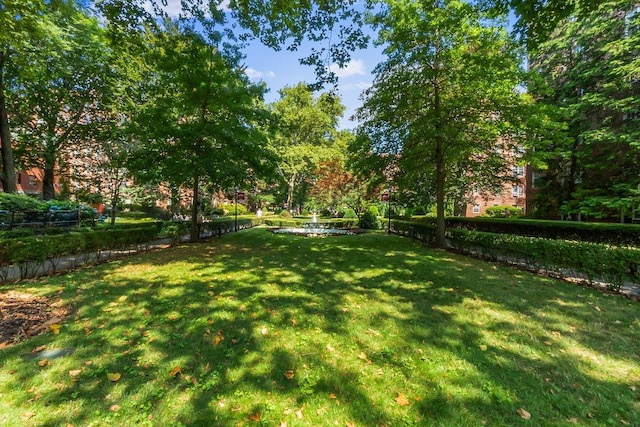 76-36 113th St Unit 1A, Forest Hills, NY 11375 - view of green lawn