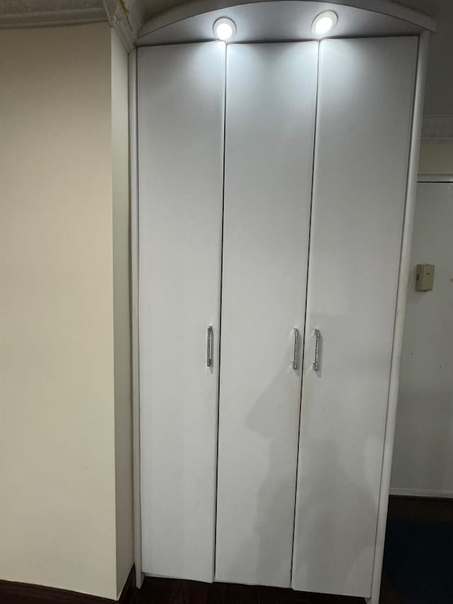 74-45 Yellowstone Blvd Unit 2A, Forest Hills, NY 11375 - view of closet
