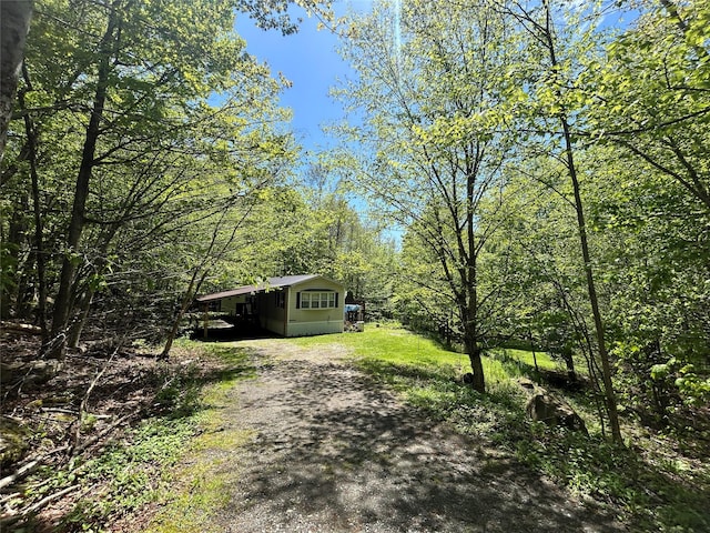367 Mud Pond Rd, Livingston Manor, NY 12758 - photo 4