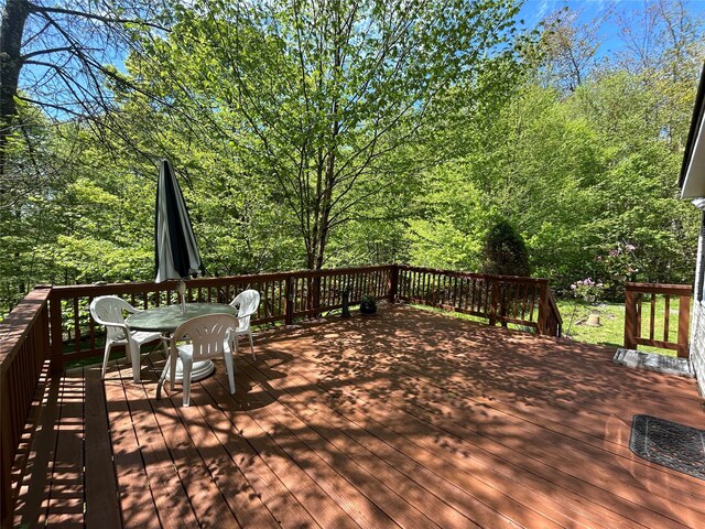 367 Mud Pond Rd, Livingston Manor, NY 12758 - photo 9