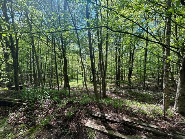 367 Mud Pond Rd, Livingston Manor, NY 12758 - photo 12