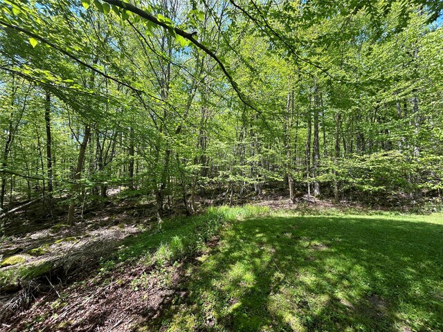 367 Mud Pond Rd, Livingston Manor, NY 12758 - photo 13