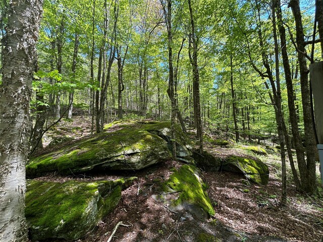 367 Mud Pond Rd, Livingston Manor, NY 12758 - photo 14