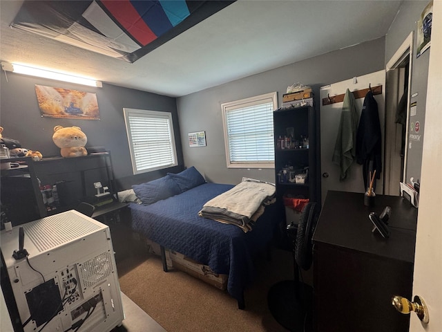 113 6th Ave, Huntington Station, NY 11746 - view of carpeted bedroom