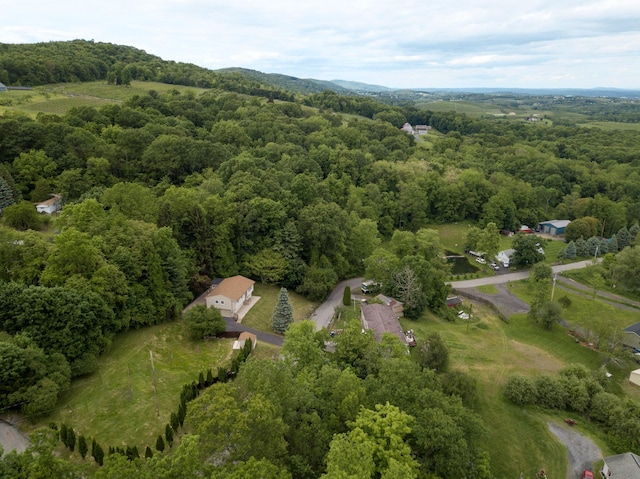 144 Reservoir Rd, Marlboro, NY 12542 - photo 48