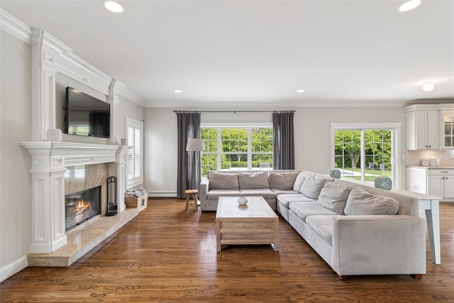 38 Savanna Cir, Mount Sinai, NY 11766 - living area featuring healthy amount of natural light, a premium fireplace, crown molding, dark wood-type flooring, and recessed lighting