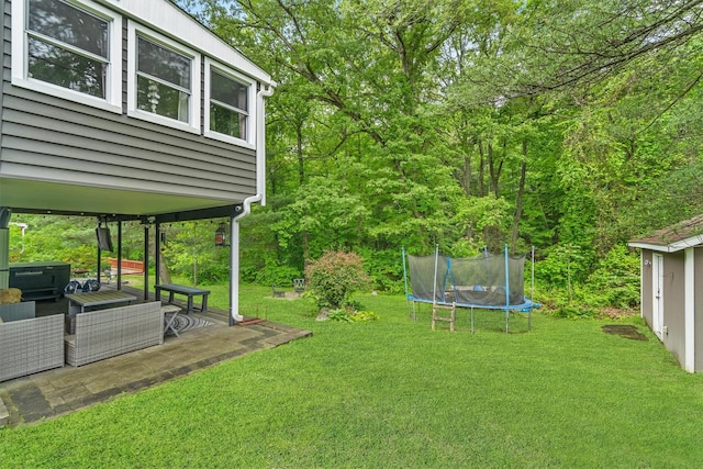 209 Laurel Dr, Cortlandt Manor, NY 10567 - view of green lawn with a trampoline and a patio area