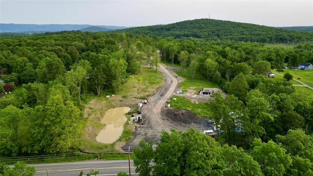 20 Wells Rd, Newburgh, NY 12550 - photo 7