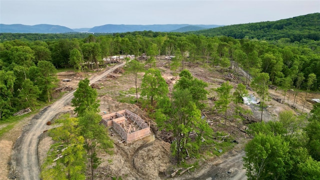 20 Wells Rd, Newburgh, NY 12550 - photo 10