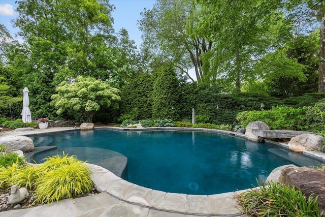 35 Seville Ave, Rye, NY 10580 - view of swimming pool