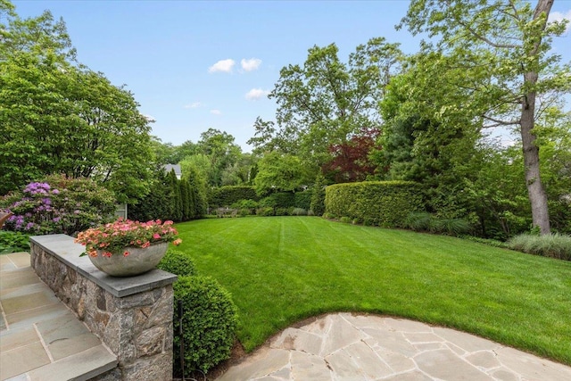 35 Seville Ave, Rye, NY 10580 - view of green lawn with a patio area