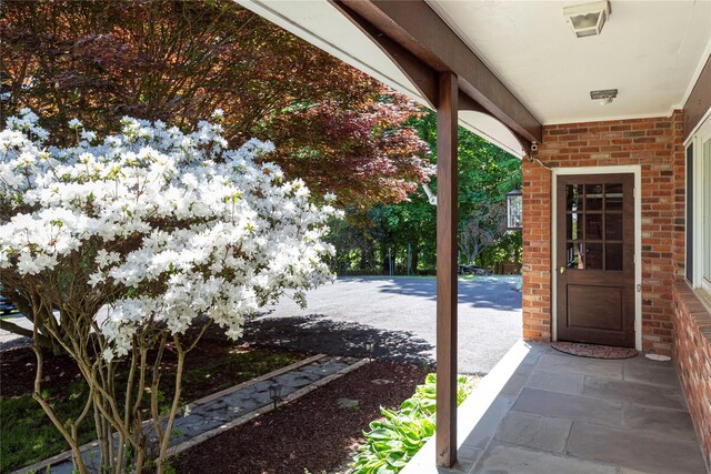 135 Turk Hill Rd, Carmel, NY 10509 - view of patio / terrace