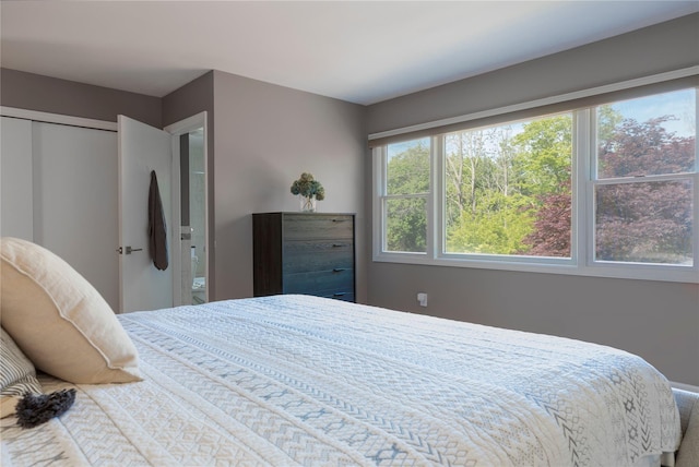 135 Turk Hill Rd, Carmel, NY 10509 - view of bedroom