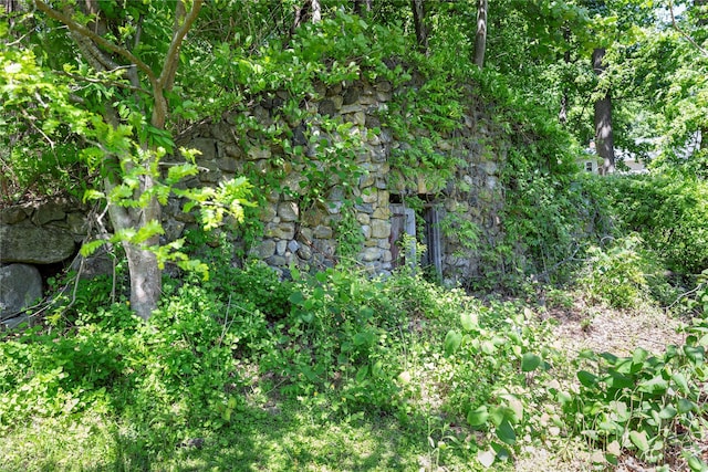 135 Turk Hill Rd, Carmel, NY 10509 - view of local wilderness