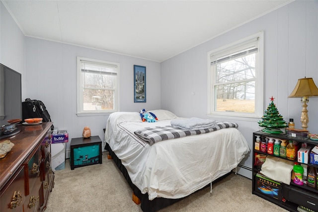 11-13 Eldridge Ln, Red Hook, NY 12571 - bedroom featuring ornamental molding, light colored carpet, and a baseboard heating unit