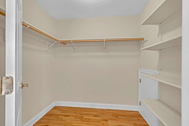 9 Joseph Bow Ct, Pearl River, NY 10965 - walk in closet featuring light wood-style floors