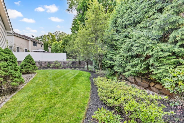 9 Joseph Bow Ct, Pearl River, NY 10965 - view of yard