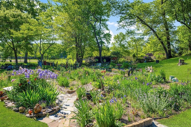 66 Milton Rd Unit C42, Rye, NY 10580 - view of grassy yard featuring view of wooded area