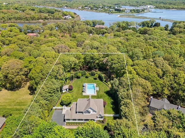 31 Inlet View Path, East Moriches, NY 11940 - aerial view of property's location with a large body of water, a forest, and property parcel outlined