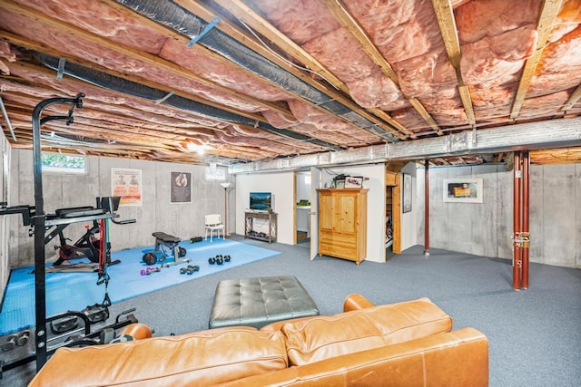 31 Inlet View Path, East Moriches, NY 11940 - view of basement
