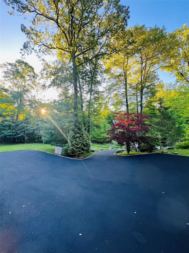 123 E St, South Salem, NY 10590 - view of road