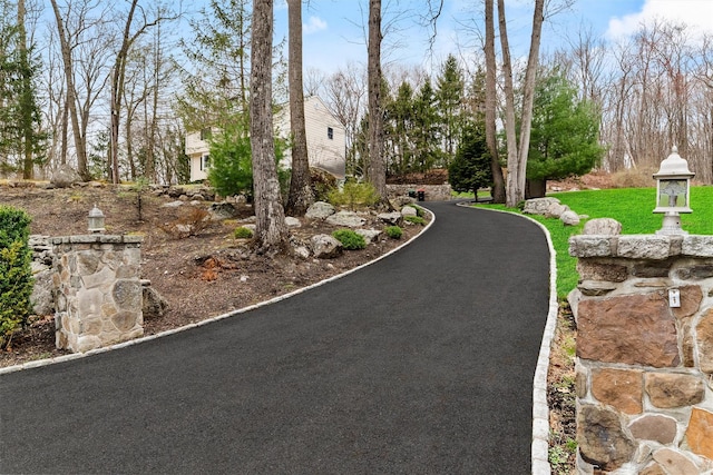 123 E St, South Salem, NY 10590 - view of asphalt driveway