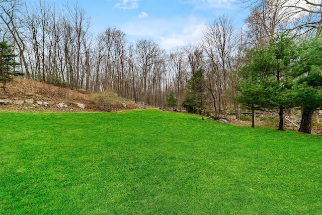 123 E St, South Salem, NY 10590 - view of green lawn
