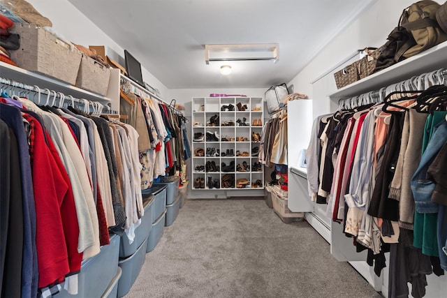 123 E St, South Salem, NY 10590 - spacious closet with attic access and carpet flooring