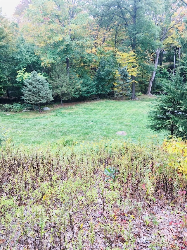 123 E St, South Salem, NY 10590 - view of green lawn with a wooded view
