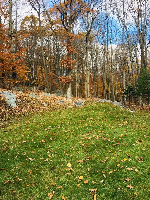 123 E St, South Salem, NY 10590 - view of green lawn